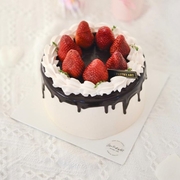 Chocoberry 6"